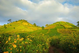 嘉莱省重视发展文化生态旅游