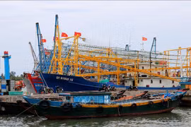 越南海洋战略实施10年：越南在海洋岛屿资源管理和环境保护领域取得突破性进展