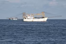 越中海上低敏感领域合作专家工作组第十二轮磋商在中国广东省举行