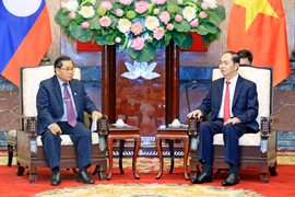 越南国家主席陈大光会见老挝国会副主席森暖