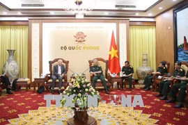 越南国防部副部长阮志咏上将会见国际战略研究所亚洲区执行长