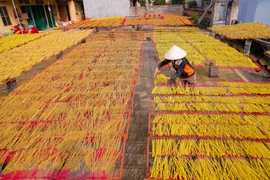 春节到访兴安省传承数百年的制香工艺村