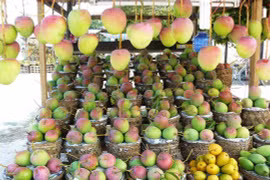 越南安江省首批“三色”芒果进军澳洲市场