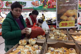 2017年韩国中小型企业对越出口猛增