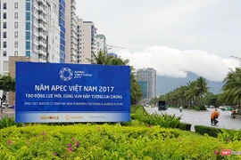  推进岘港市发展的新动力
