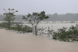 越南中部洪灾致6人死伤失踪，当地经济损失严重