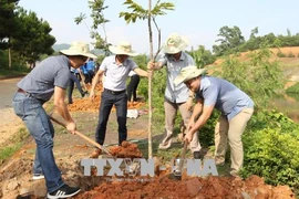 越南积极响应世界防治荒漠化与干旱日