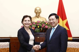 政府副总理范平明会见即将离任的意大利驻越大使