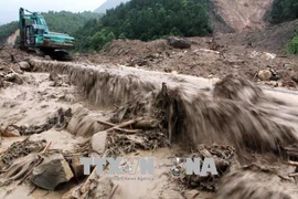 暴雨洪灾给北部山区各省造成经济损失达1410亿越盾