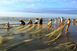 清化省同步发展海洋经济的5大支柱产业 