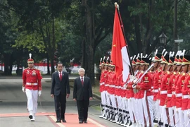 印度尼西亚独立日73周年：为越印尼友谊注入新活力