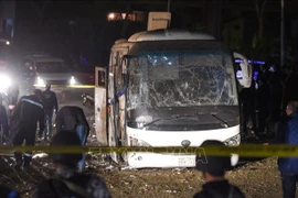 载有越南游客的埃及旅游巴士遭爆炸袭击：立即开展公民保护工作