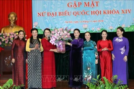 国会主席阮氏金银会见第十四届国会女代表