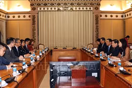 大力加强越南胡志明市与中国香港的合作