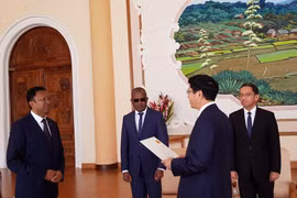 马达加斯加重视与越南的传统友好合作关系