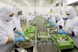 今年前7月水产品出口额达46.3亿美元