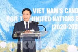 各国支持越南参加联合国安理会非常任理事国席位竞选动员会召开 