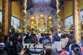 旅居世界各国越南人纷纷举行迎新春活动