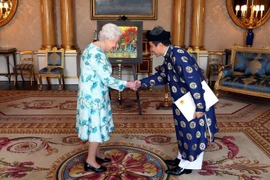 越南驻英国大使陈玉安向英国女王递交国书