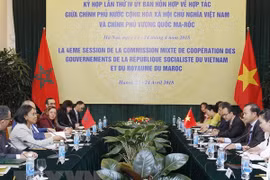 越摩举行第四次混合委员会会议暨两国外交部第五次政治磋商