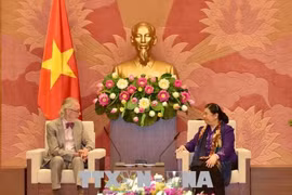 越南国会常务副主席丛氏放会见各国议会联盟前秘书长安德斯