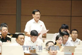 越南第十四届国会第次五会议: 越南经济增长强劲