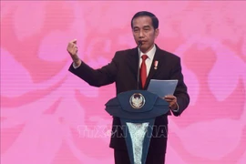 2018年亚洲运动会：印尼总统邀请朝韩领导人出席开幕式