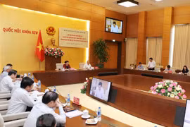 越共中央检查团与国会党团举行工作会谈