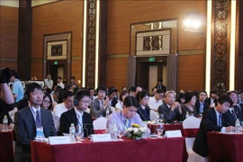 日本企业见面会在广南省会安市举行