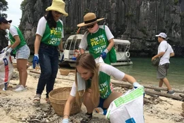 广宁省下龙市走向无垃圾旅游 打造绿色下龙湾