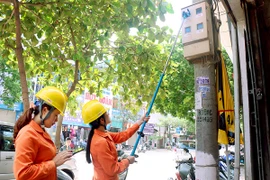 胡志明市电力总公司荣获全球性别平等认证