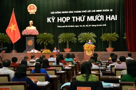 胡志明市继续多措并举 有效实施2019年各项目标任务