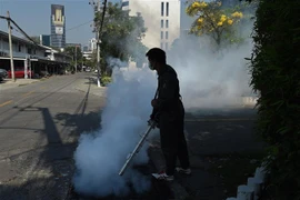 泰国首都曼谷爆发登革热疫情