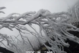 老街省高山地区出现严寒冰冻天气 近3万学生临时停课