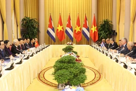 阮富仲与古巴国务委员会主席兼部长会议主席迪亚斯-卡内尔会谈
