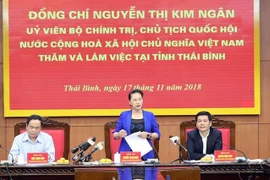 越南国会主席阮氏金银访问太平省