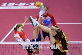 2018 ASIAD：越南赢得10枚奖牌，在45个国家和地区中排名第20位