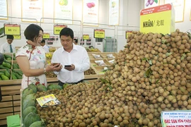 越南山萝省马江县首次向中国市场出口龙眼