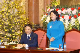 邓氏玉盛会见村寨助产士网络发展中的模范代表团