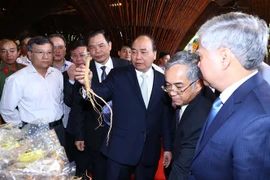 阮春福总理：像保护国家品牌一样保护玉玲人参品牌价值