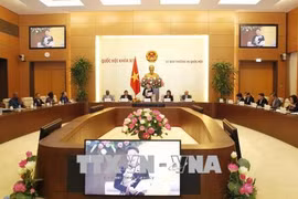 国会主席阮氏金银：越南愿参加世行和国际货币基金组织成员国议会网络