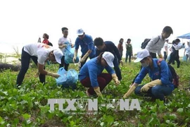 近500名青年团员参加绿色越南海洋运动