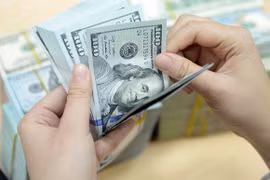 7日越盾兑美元中心汇率下降5越盾