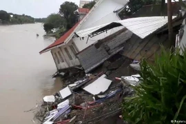 台风乌斯曼袭击菲律宾 已致近70人死亡