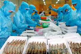 从第三季度末越南虾类价格有望反弹