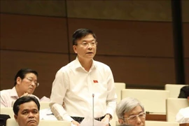 越南第十四届国会第六次会议：质询活动进入第二天