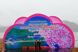 2018年奠边帕框樱花节：展示樱花之美 推介当地旅游潜力
