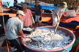 越南中部四省在海洋环境污染事故发生两年后当今的面貌