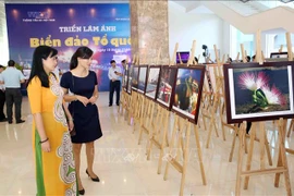 “祖国海洋岛屿”图片展在岘港开展