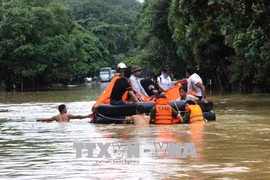 北部山区各省遭特大暴雨洪水袭击 政府总理指导抓紧做好救灾工作
